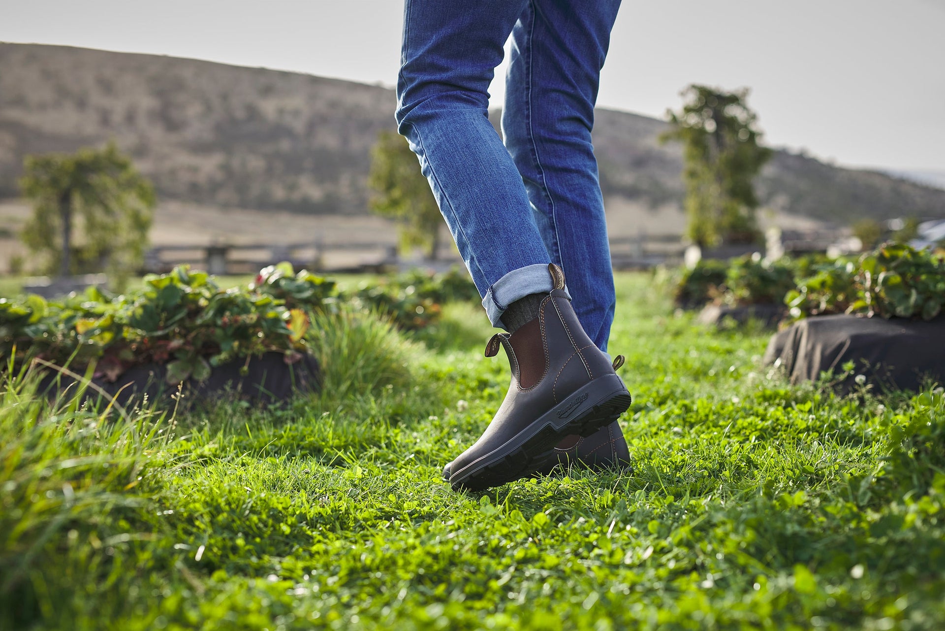 Blundstone | Men's