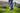 Blundstone | Men's
