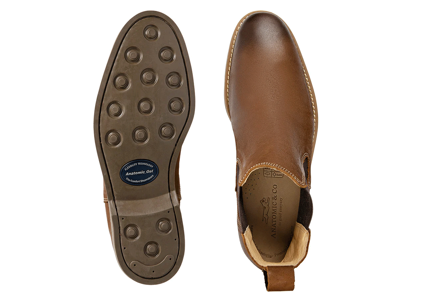 Anatomic Cardoso - Cognac