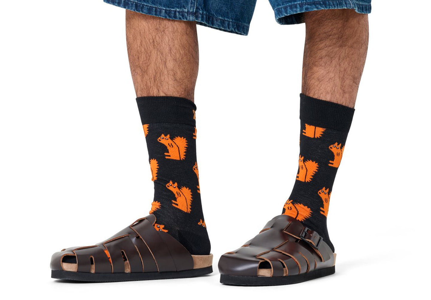 Mens-Happy-Socks-Squirrel-Sock-Accessories-P003791-Black-1