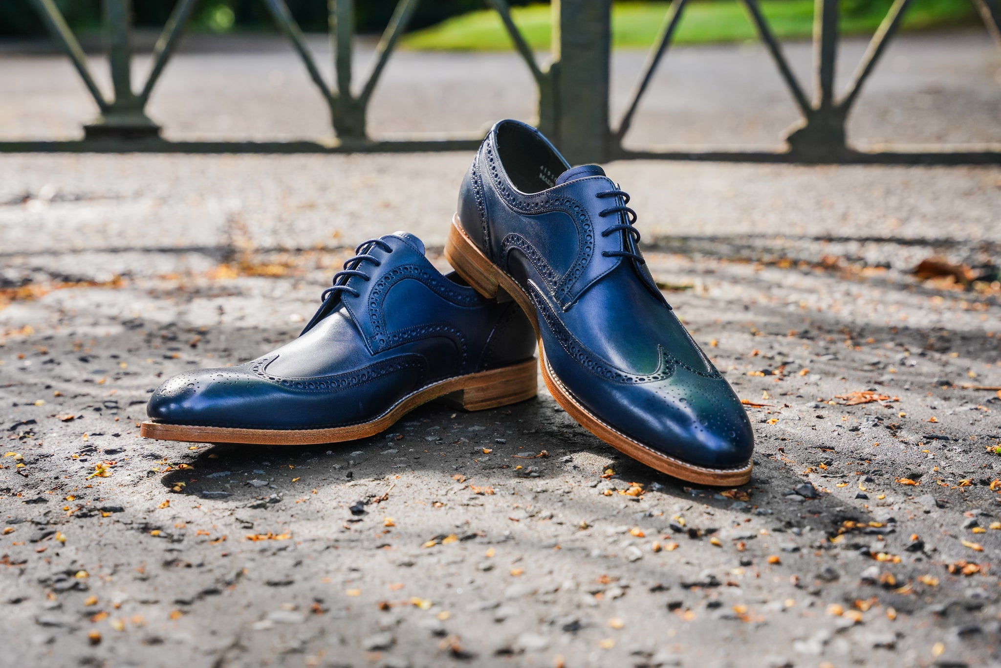 Mens-Robinson-Wilde-Sboes-4195GW19-Navy-Hand-Painted-Lifestyle1