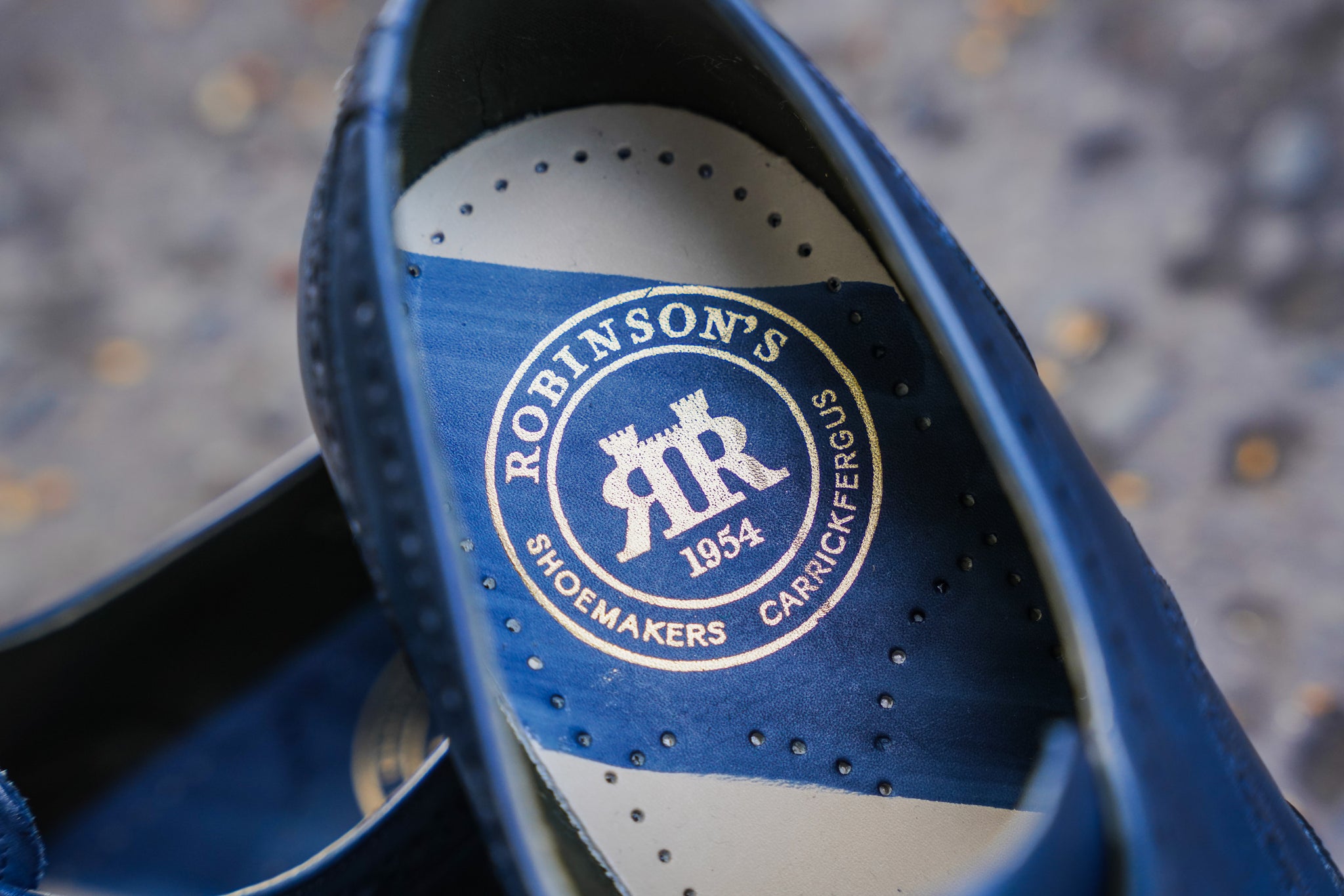 Mens-Robinson-Wilde-Sboes-4195GW19-Navy-Hand-Painted-Lifestyle2