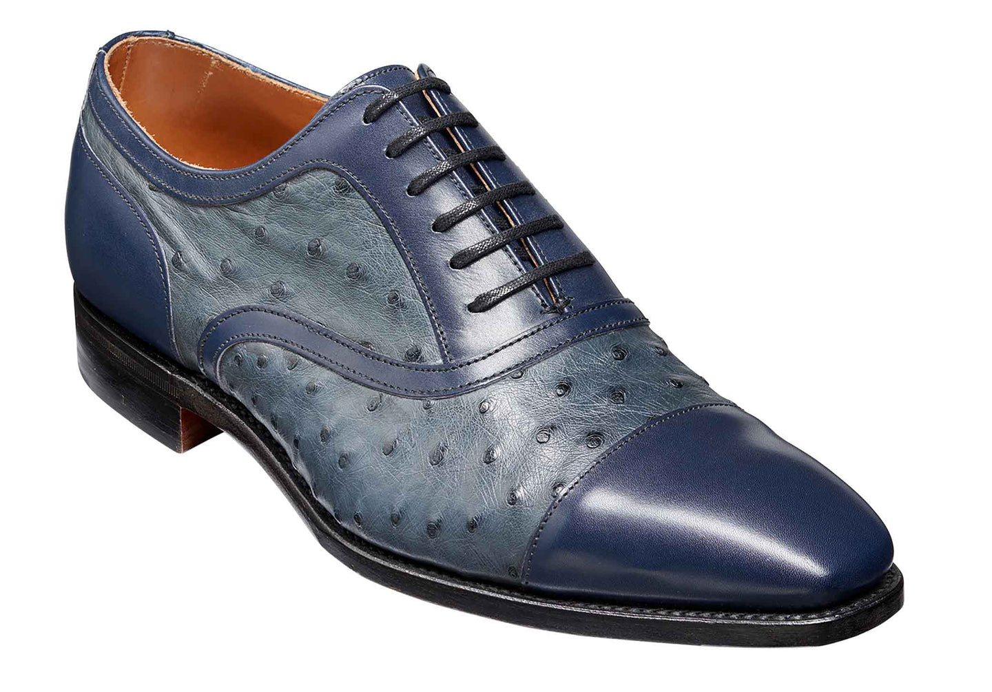 Navy Calf/Ostrich