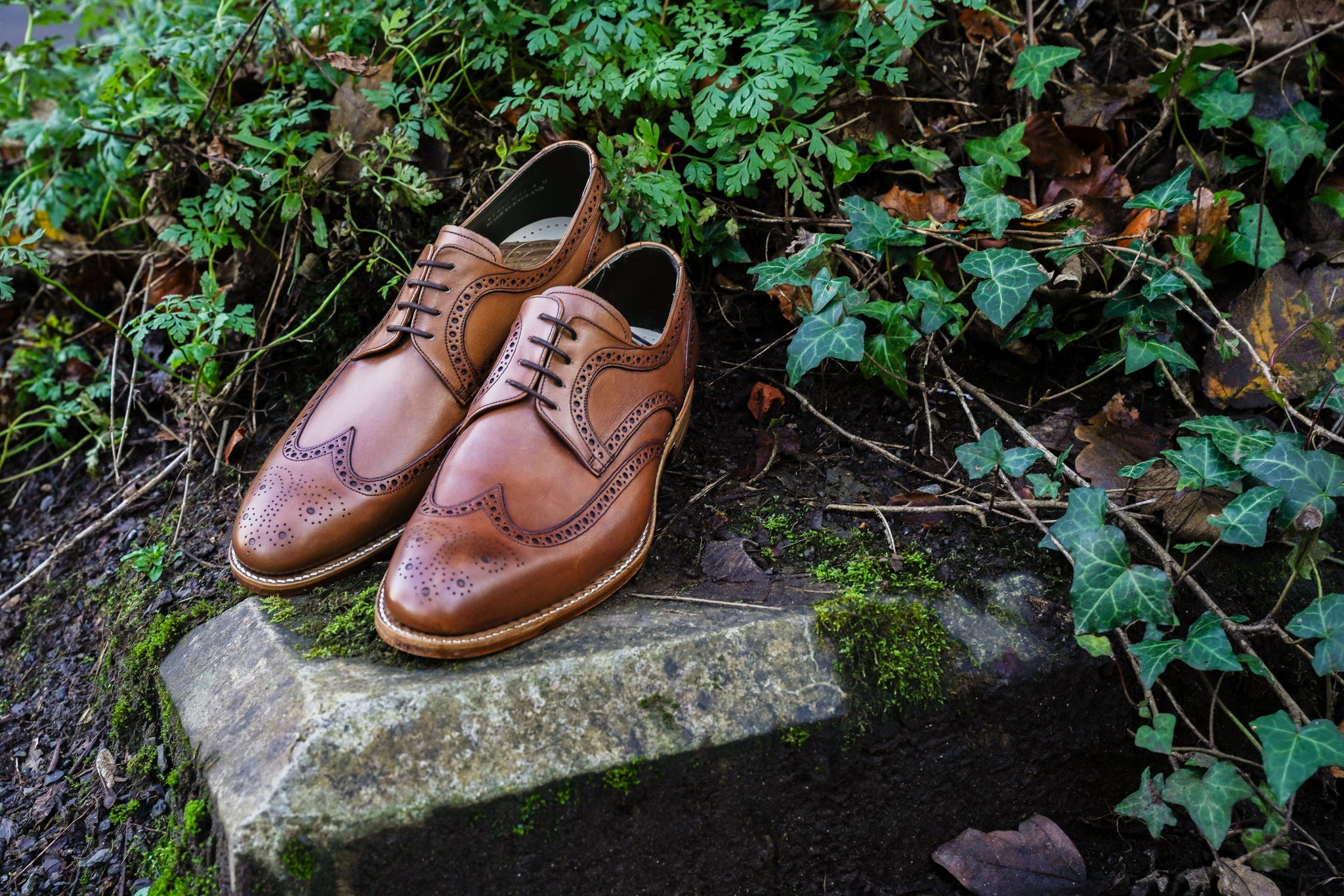 mens-robinson-wilde-shoes-4195gw21-antique-rosewood-lifestyle1