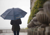 Dubarry Storm Umbrella